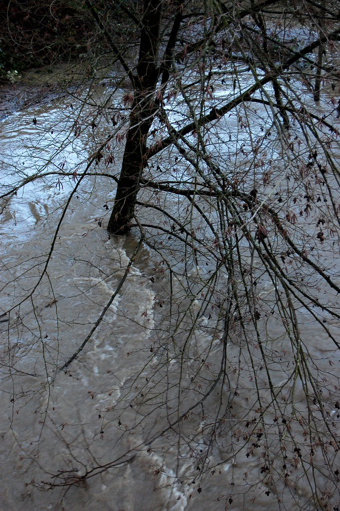 WA Flood 2009