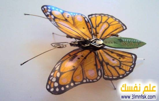 An-artist-turns-old-circuit-boards-and-electronic-components-into-beautiful-insects