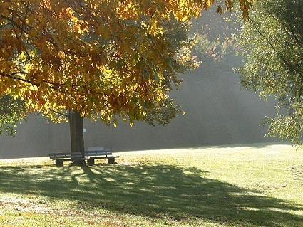 germanautumn