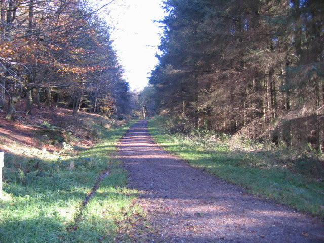File:The Setmurthy Common Track - geograph.org.uk - 79945.jpg