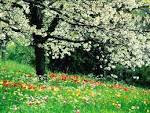 PRINTEMPS