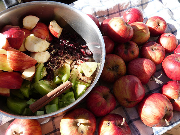 chutney de pommes et tomates vertes
