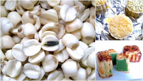 Lotus Seeds and Moncakes