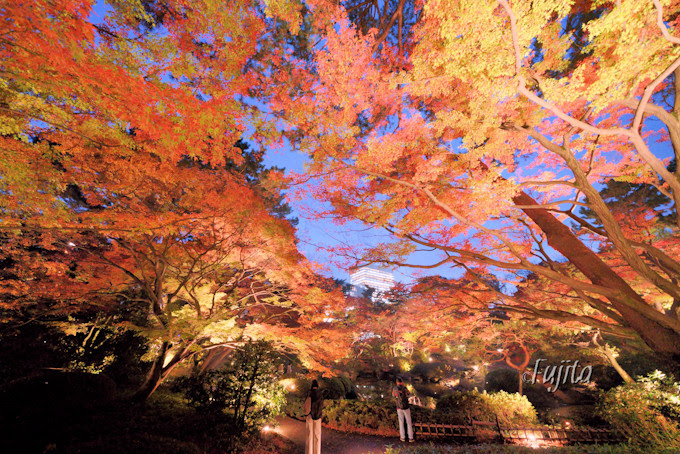 東京都庭園美術館の紅葉ライトアップは必見 都内の穴場で紅葉狩り 東京都 トラベルjp 旅行ガイド