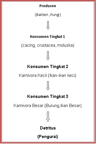 Contoh Ekosistem Hewan  Contoh 37