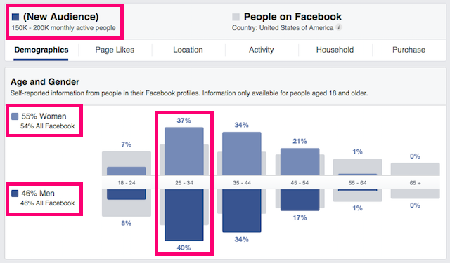 Audience Insights Demographics