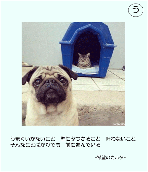 人生はワンチャンス 勇気が湧く 希望のカルタ