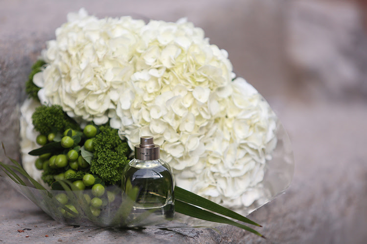 Rag & Bone new fragrance collection - Cypress unisex scent