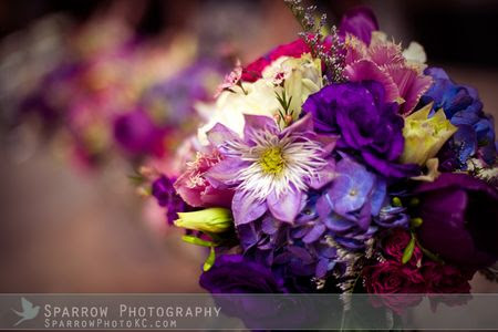 Img_2629 copy
