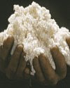 pulp paper history