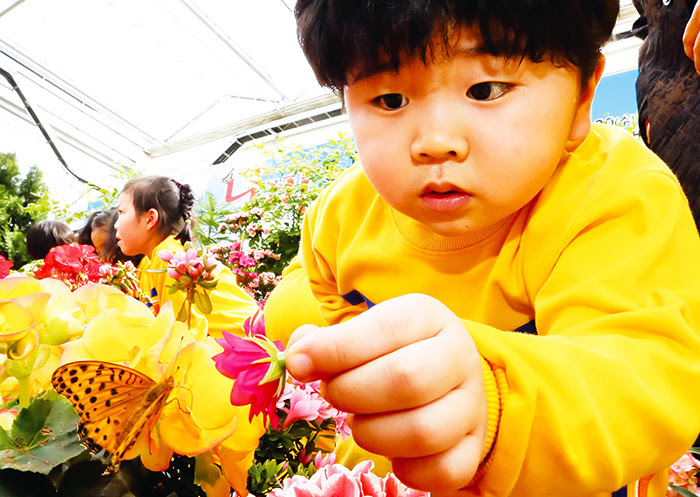 Curious youngster tempts a butterfly. ⓒ Yonhap News