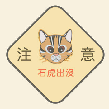 消失的台灣石虎