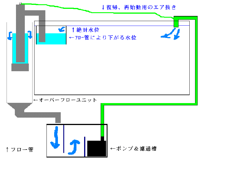 サイフォン式オーバーフロー水槽の自作