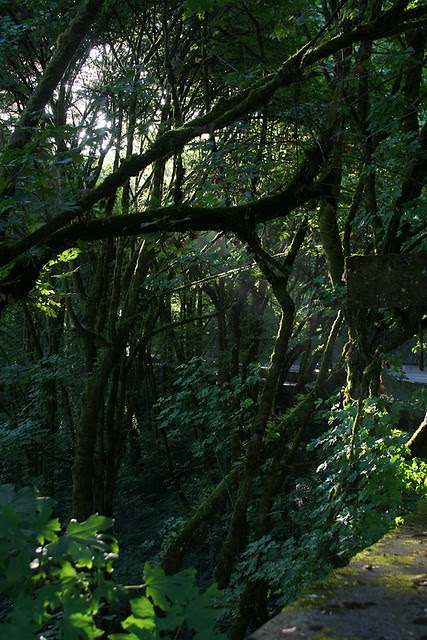 Oswego Creek Bridge