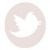 ”twitter”