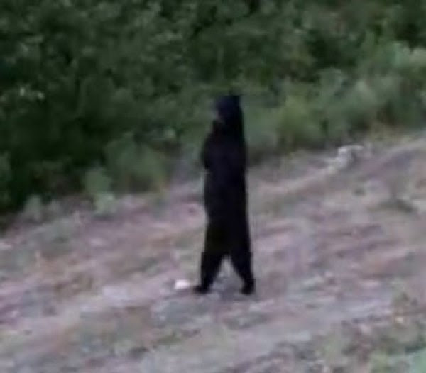 Bear Bigfoot