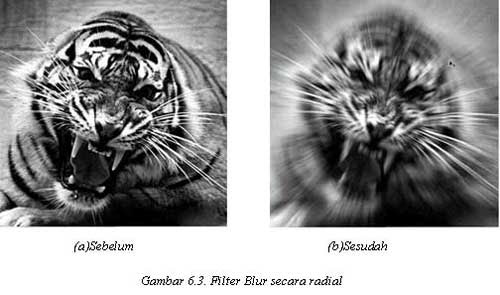 Tutorial Adobe Photoshop - Filter Blur
