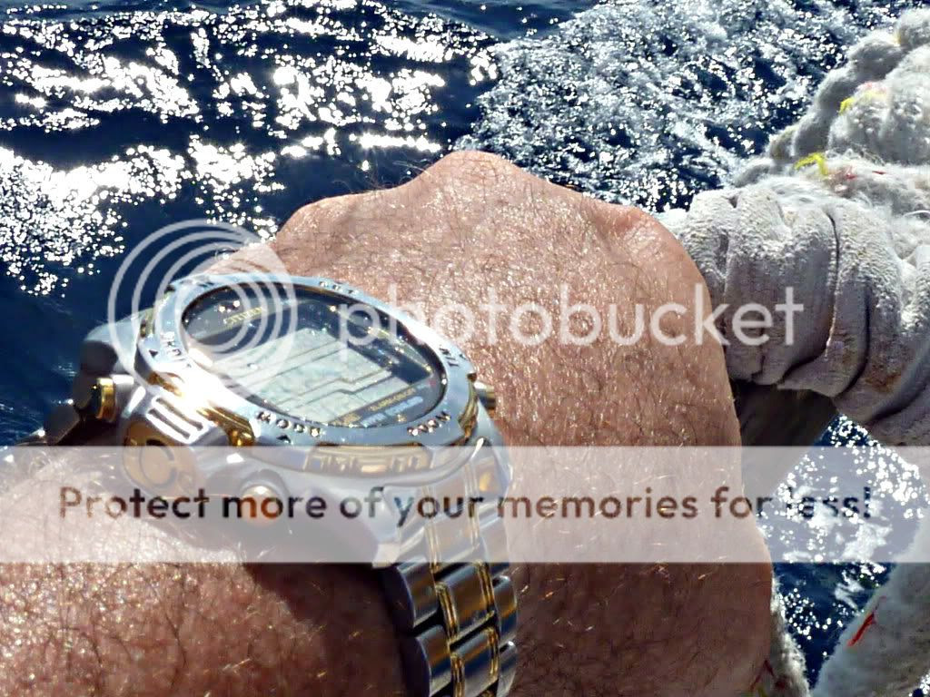 My latest addition during my annual trip to St. Thomas