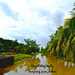 Sungai Tanjung Piai johor