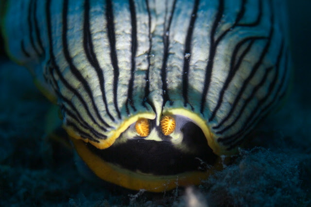 HDS_2765.jpg