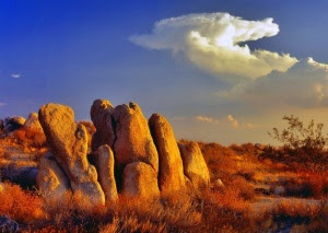 Mojave Desert