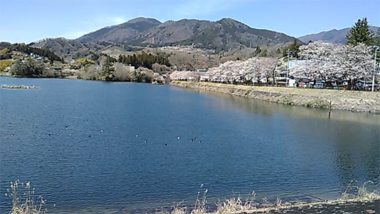 大野貯水池の春景色 会員写真館 作品の閲覧 企業obペンクラブ