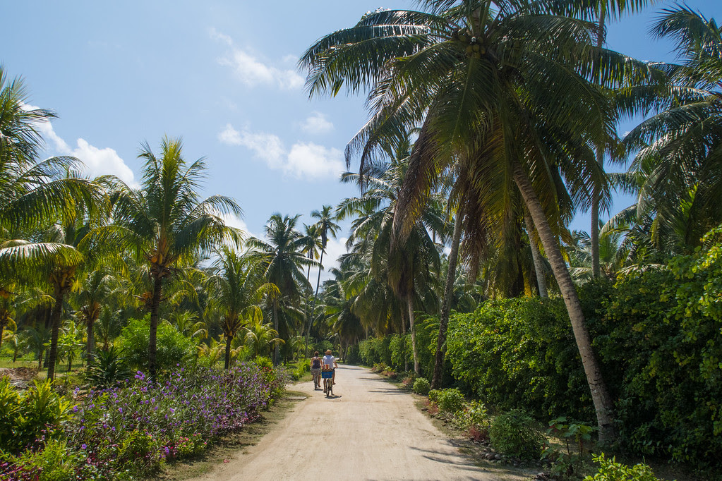 Cycling around La Digue in the Seychelles