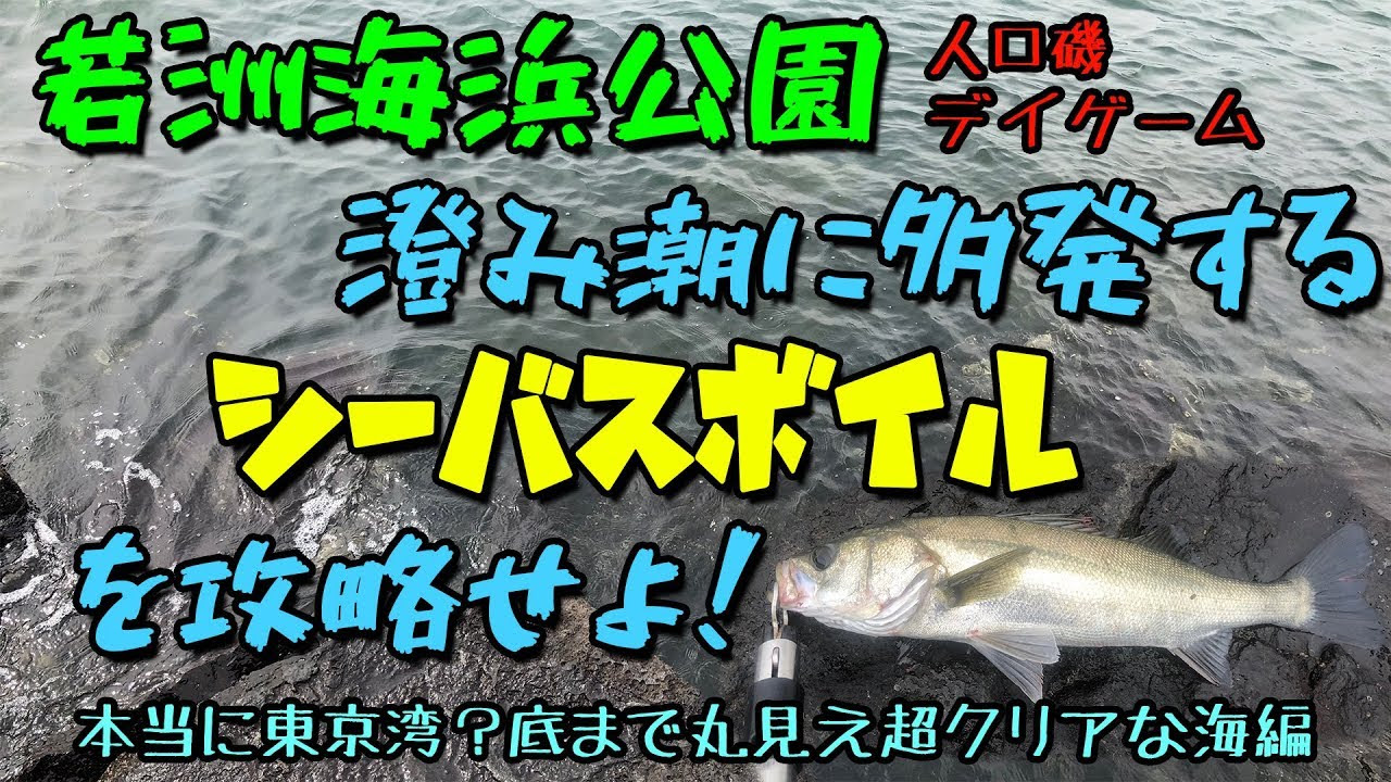 若洲海浜公園 澄み潮に多発するシーバスボイルを攻略せよ 東京湾デイゲーム 釣りtubeチャンネル