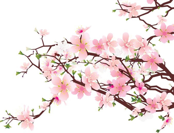 Free Cherry Blossom Branch Png Download Free Cherry Blossom Branch Png Png Images Free Cliparts On Clipart Library