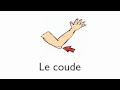 Les Parties du Corps