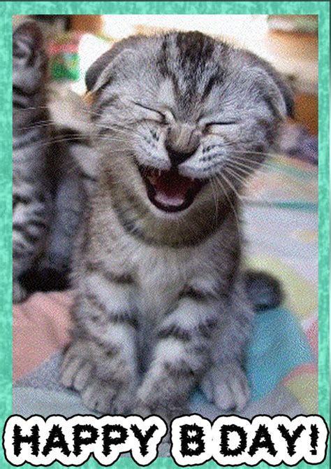  cat birthday card free printable birthday cards printbirthdaycards