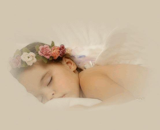 Image du Blog lecoeurdefeu.centerblog.net