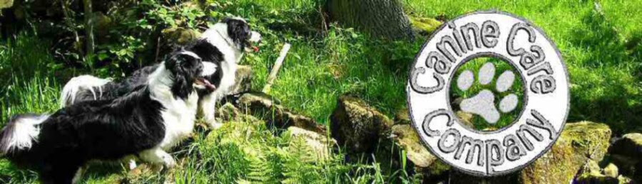 The dog minder will give your dog a happy lifestyle while you're off ...