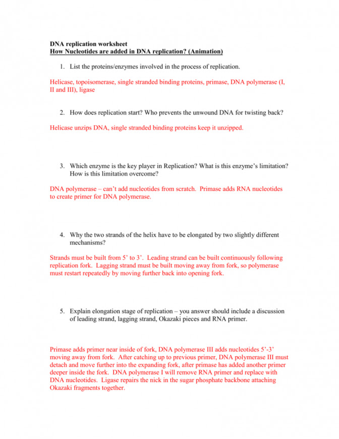 Replication transcription translation worksheet answers