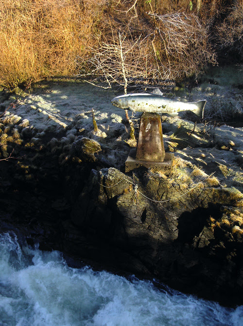 frost on Ketchikan Creek fish statue, Alaska