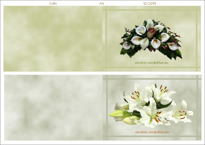 Carte Gratuite De Condoleances A Imprimer