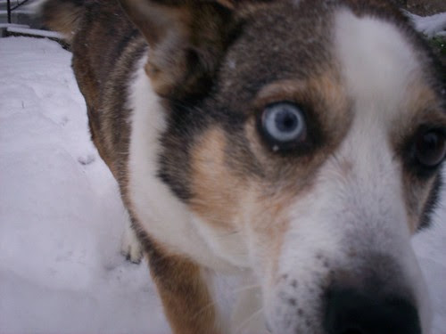 goober!