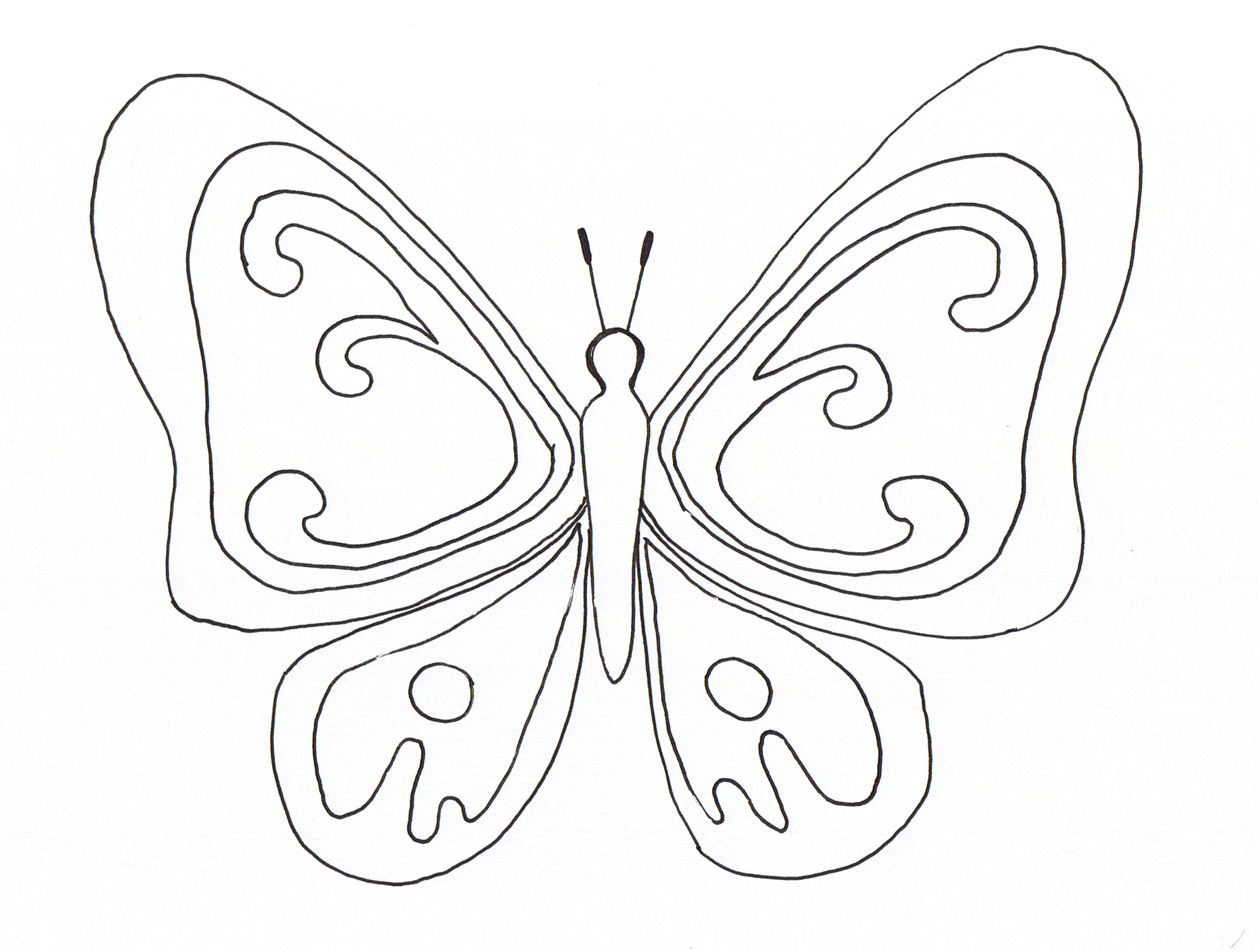 Dessin en couleurs   imprimer Animaux Insectes Papillon numéro