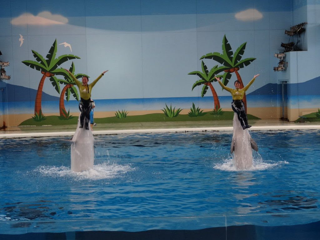 横浜八景島シーパラダイス 水族館とか動物園を巡って
