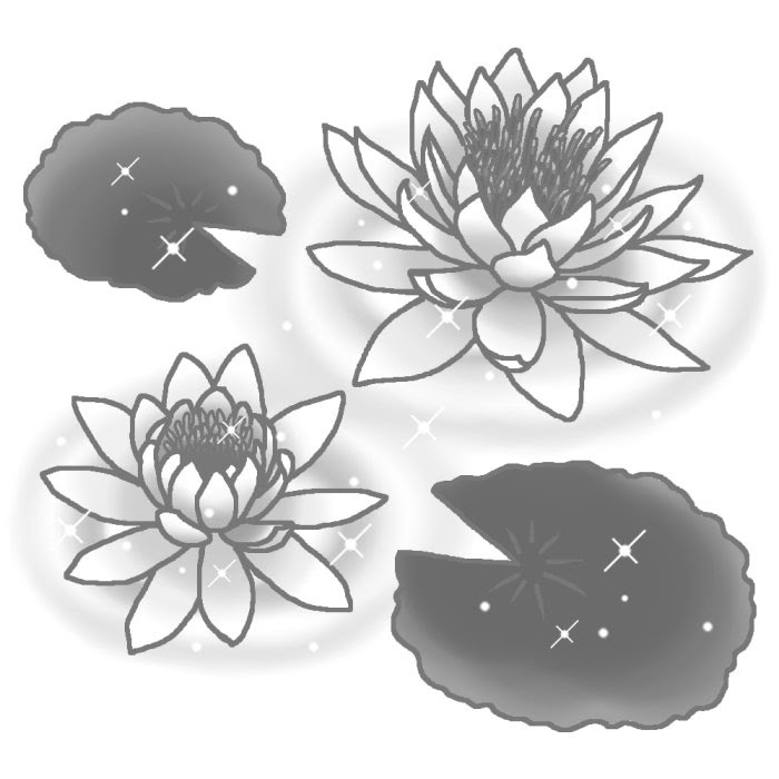 夏の花3 睡蓮 加工版 モノクロ 花イラスト お花と季節のお礼状