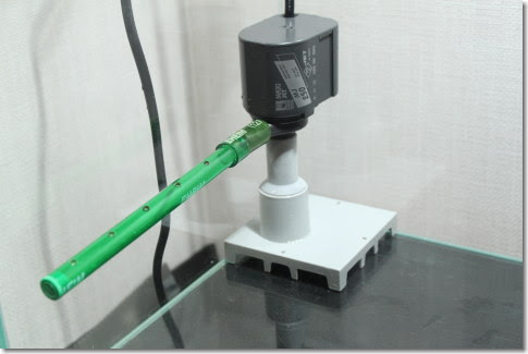 アクアデイズ 底面フィルターで新レッドビーシュリンプ水槽の立ち上げ