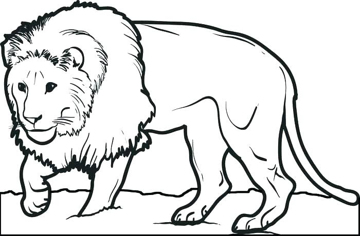 Lion Family Coloring Pages at GetColorings.com | Free ...