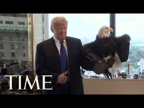 KARMA: Donald Trump ATTACKED By A Bald Eagle..lol