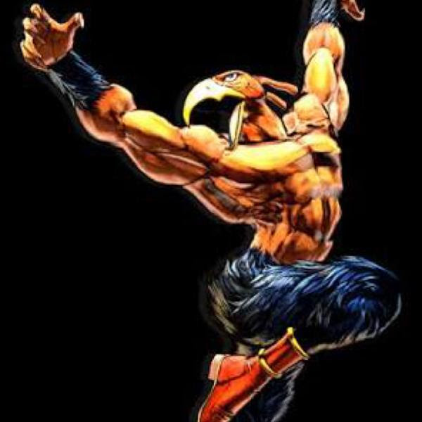 紛らわしいと噂の 鳥人間コンテスト のイメージキャラ 人間の行為へのボケ ボケて Bokete