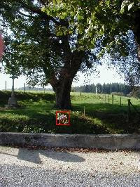 Hebergement gratuit d image et photo