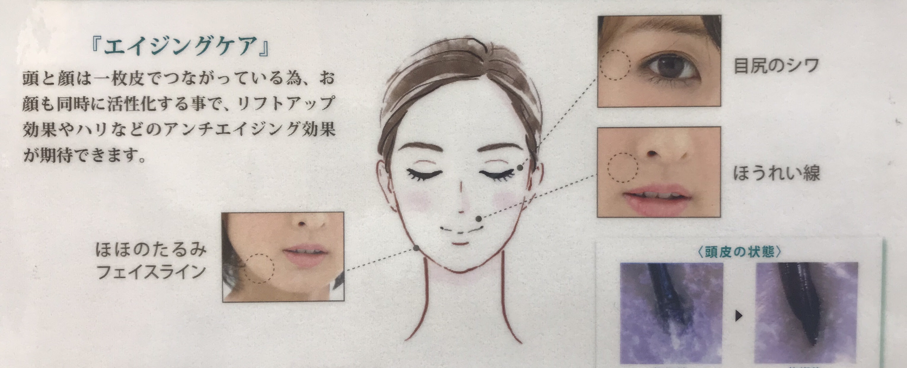 美容師がヘッドスパをすすめたがる理由 千葉 Lapish カウンセラー