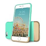 iPhone 6