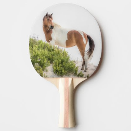 Protector of the Dunes Ping Pong Paddles