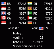Flag Counter