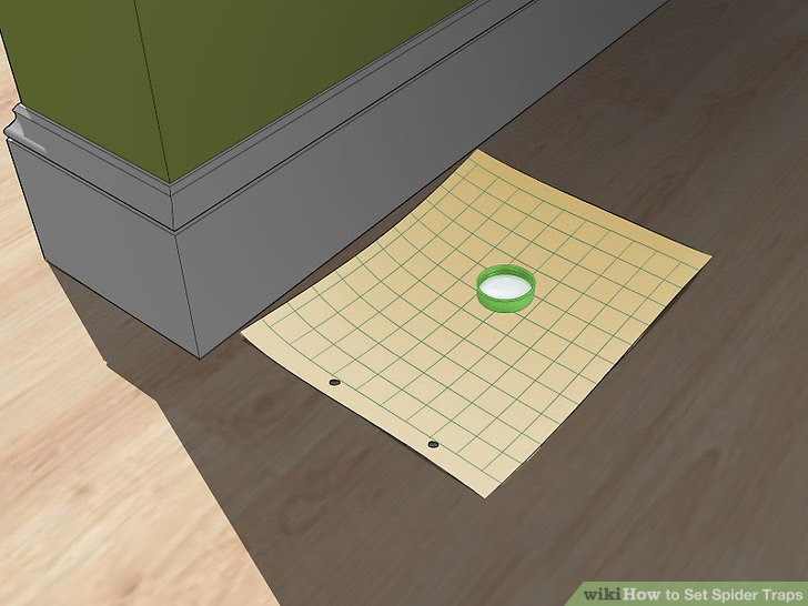 Set Spider Traps Step 5 Version 5.jpg